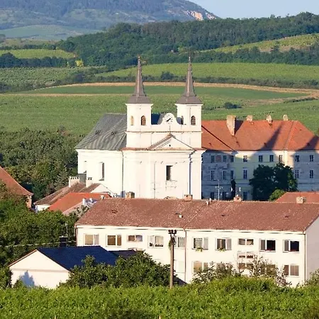 Guest house Vinny Sklep Rozarka Drnholec